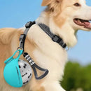 Garrafa Portátil 2 em 1 para Cachorro – Bebedouro Antivazamento em Aço Inoxidável para Passeios e Viagens