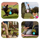 Garrafa Portátil 2 em 1 para Cachorro – Bebedouro Antivazamento em Aço Inoxidável para Passeios e Viagens