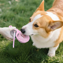 Garrafa Portátil 2 em 1 para Cachorro – Bebedouro Antivazamento em Aço Inoxidável para Passeios e Viagens