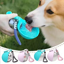 Garrafa Portátil 2 em 1 para Cachorro – Bebedouro Antivazamento em Aço Inoxidável para Passeios e Viagens
