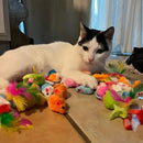 Kit Brinquedos para Gatos com 14, 28 ou 56 Peças – Bolinhas, Ratinhos e Brinquedos Interativos para Gatos